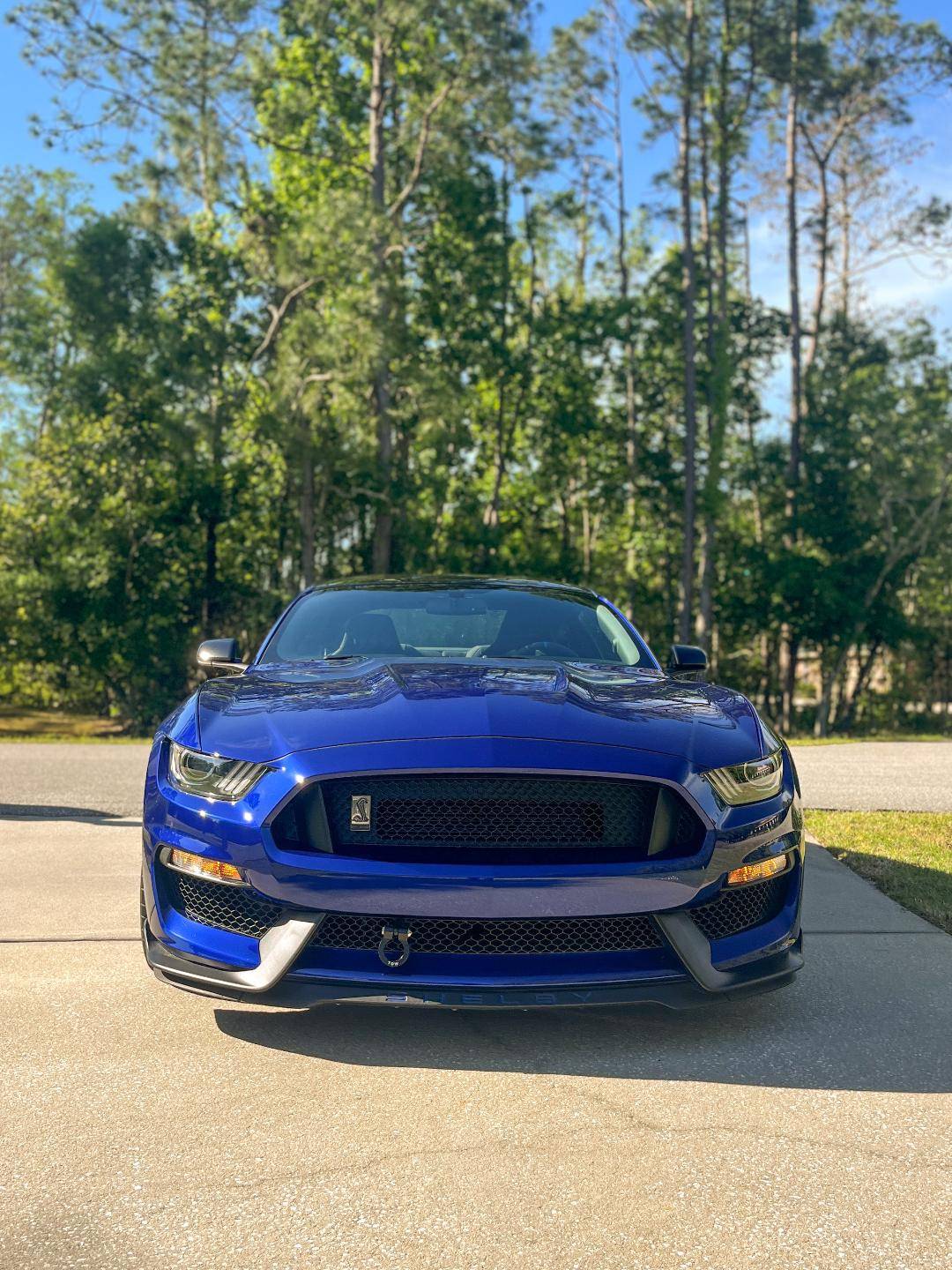 GT350 4-17.jpg