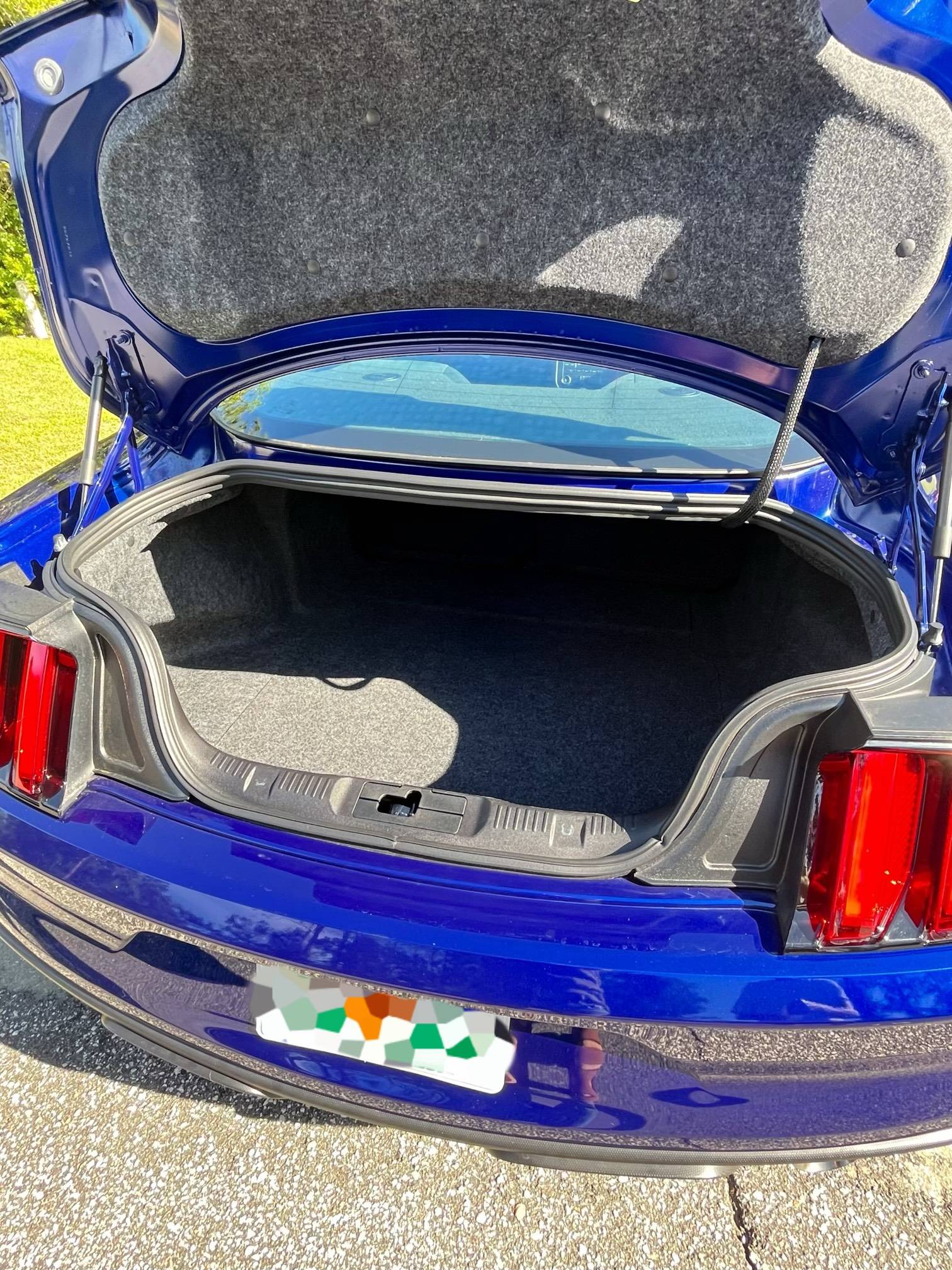 GT 350-14.jpeg