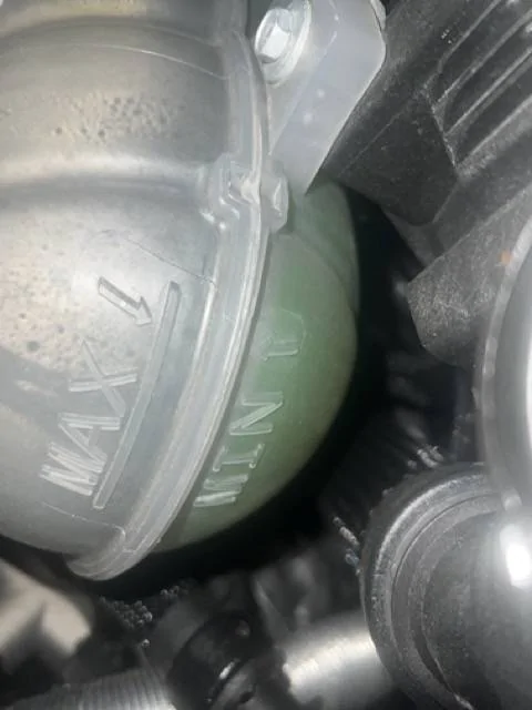IMG_1301 Medium.jpeg