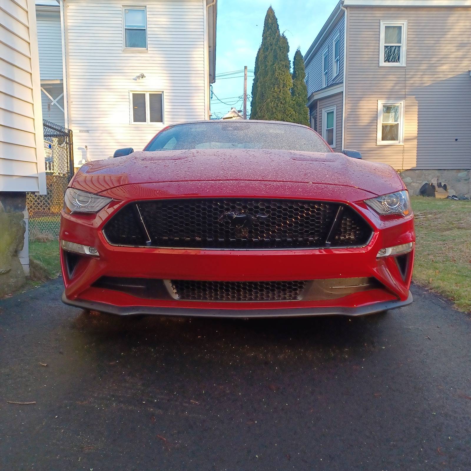 20240405_064513.jpg