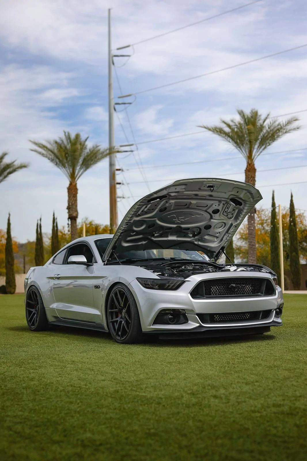 Silver.Mustang.on.the.grass.hood.open.webp