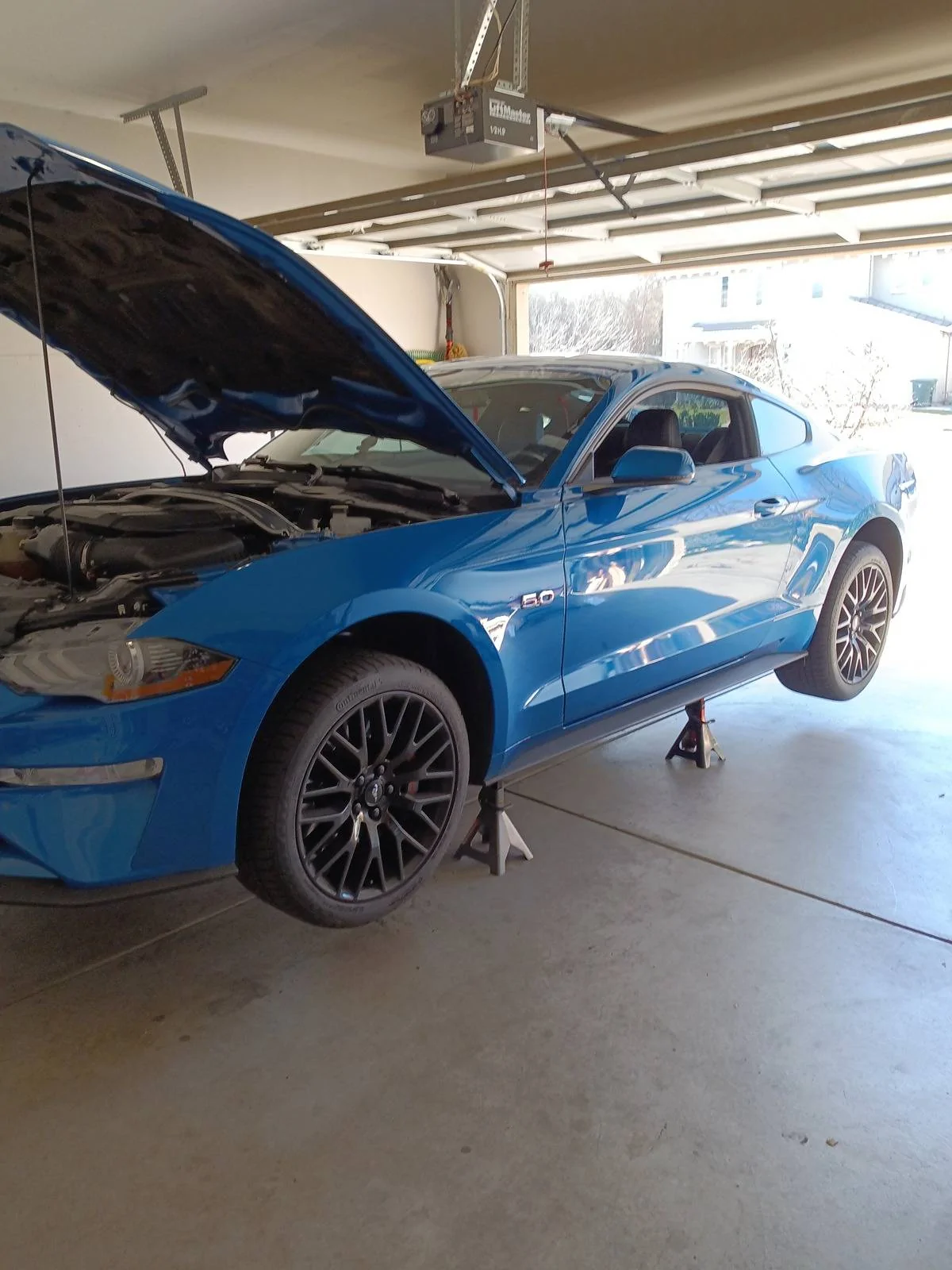 IMG_20220219_131518.webp