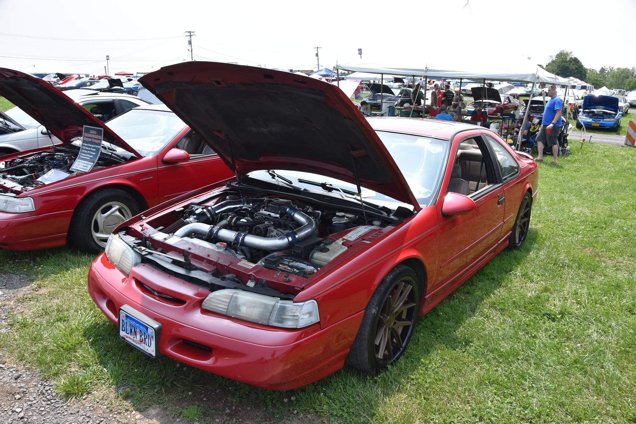 DSC_2038-X4.jpg