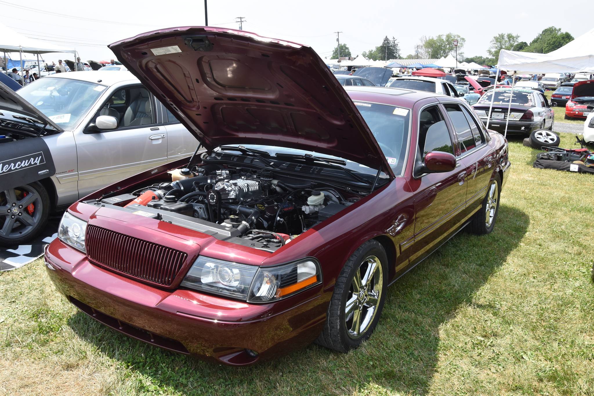 DSC_5501-X4.jpg