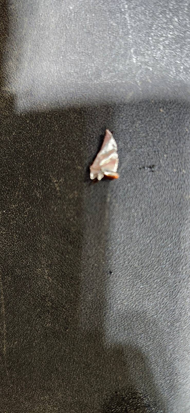 20240414_211202.jpg