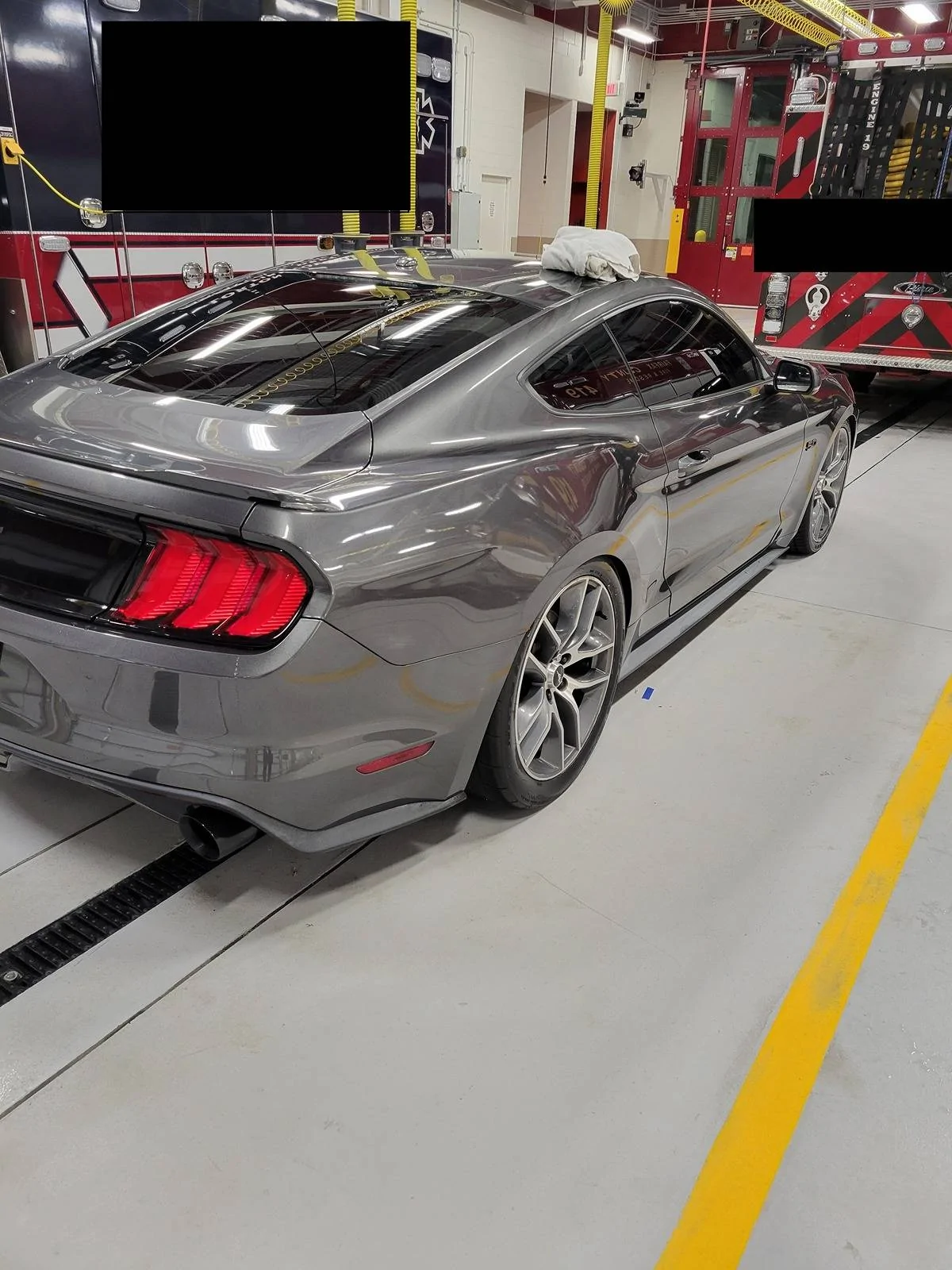 mustang1.webp