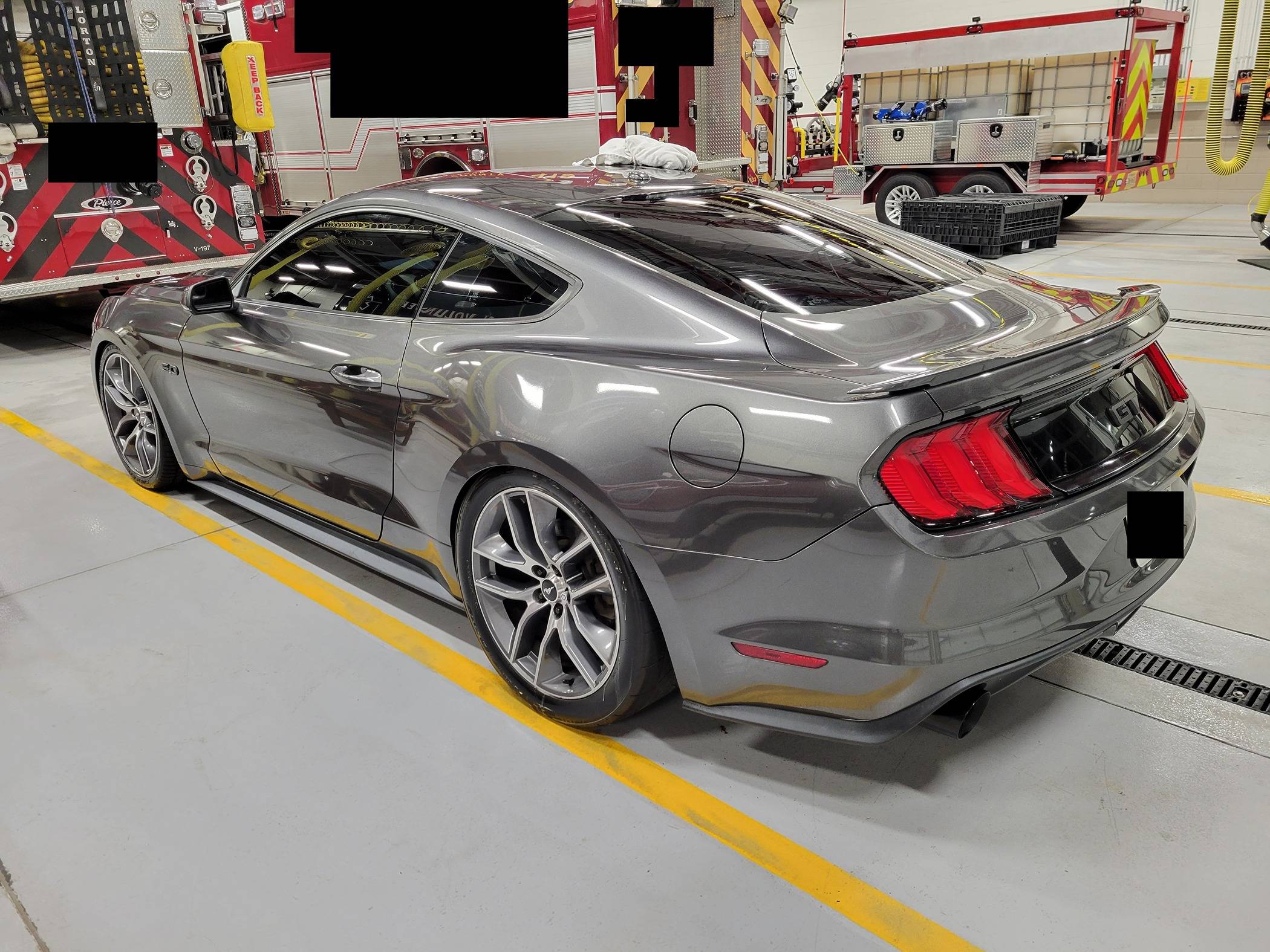 mustang2.jpg
