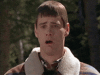 1714668922934-01.gif
