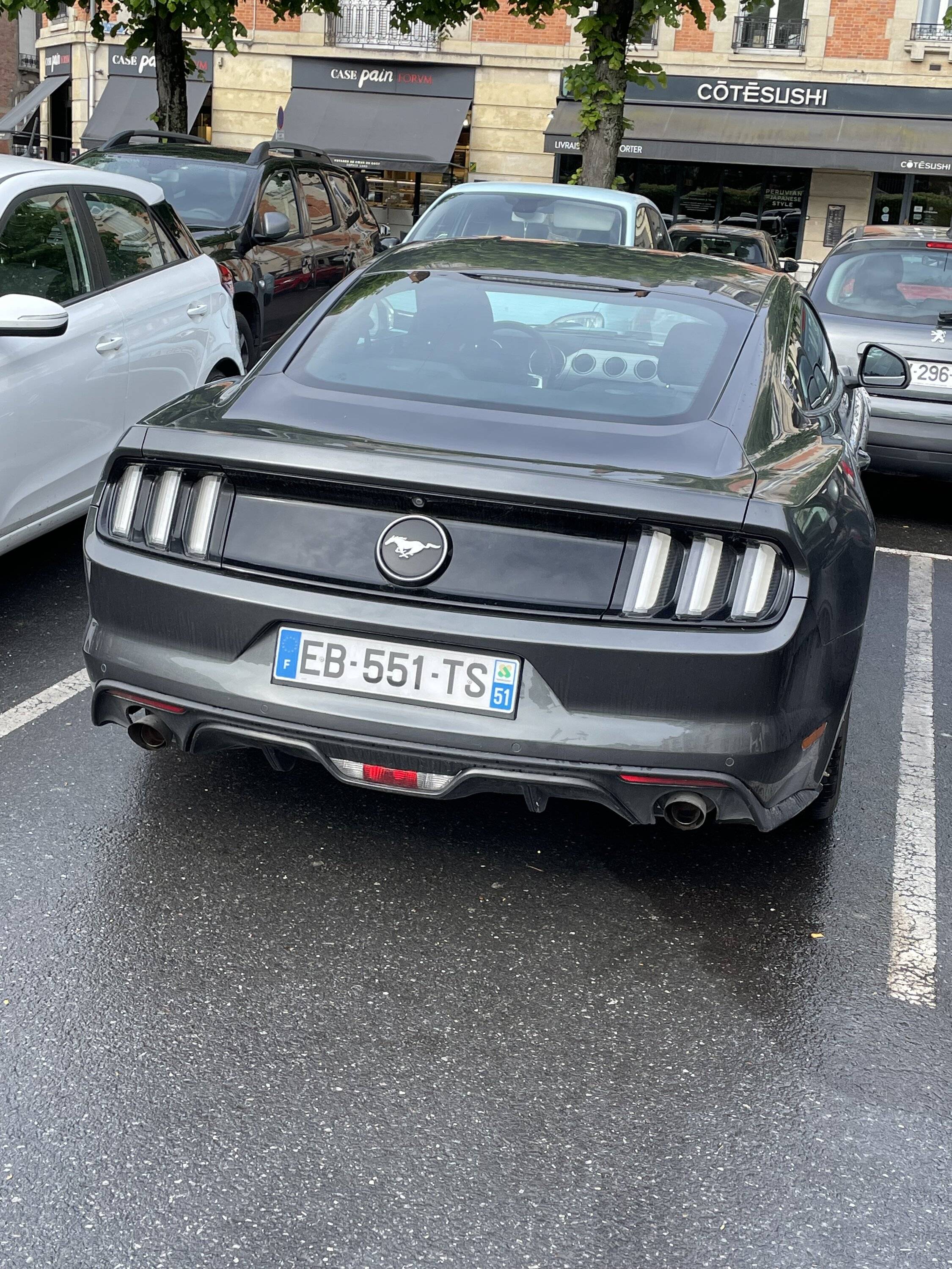 IMG_8248.jpeg