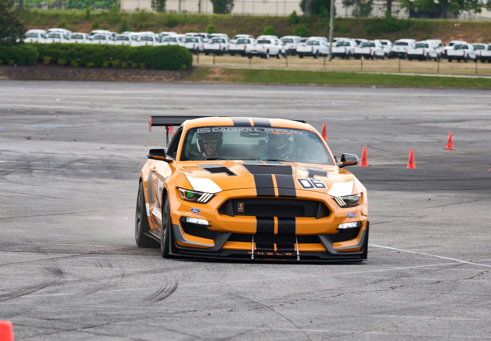 53704330788_f242258ec0_k.webp