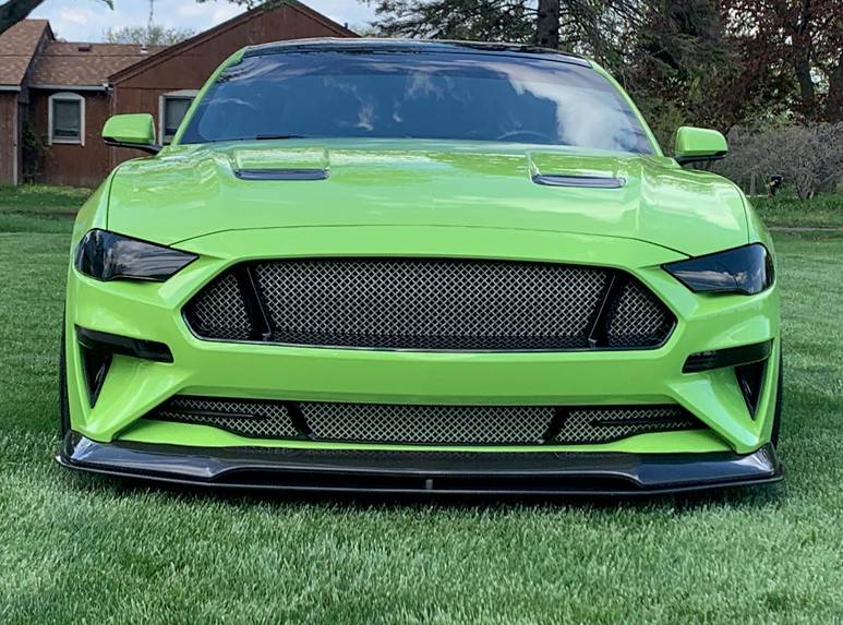 Mustang 2.jpg