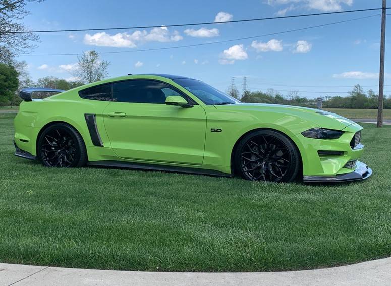 Mustang 3.jpg