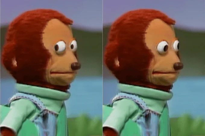 awkward monkey.webp