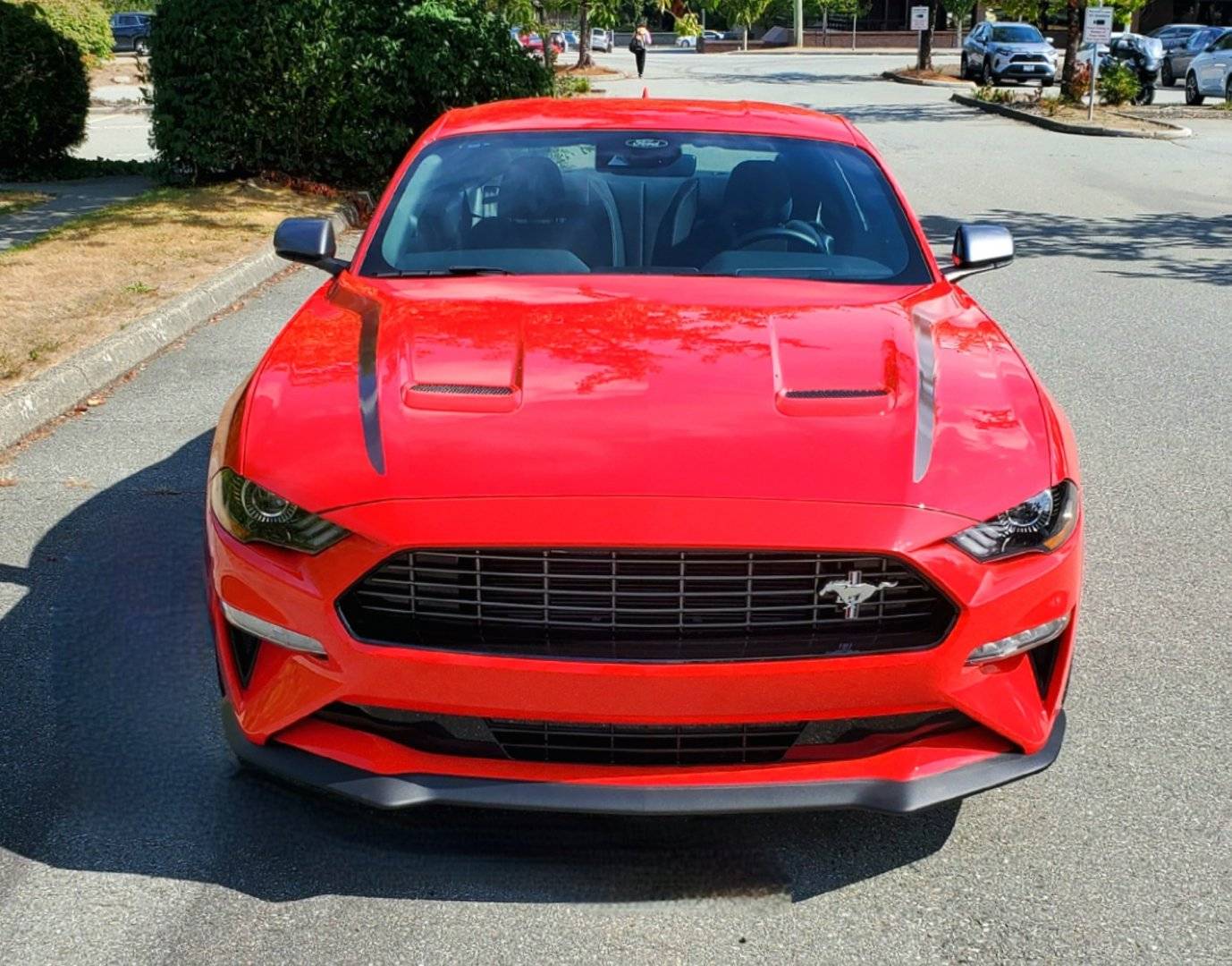 2023 Mustang EcoBoost Pickup Day 13.jpg