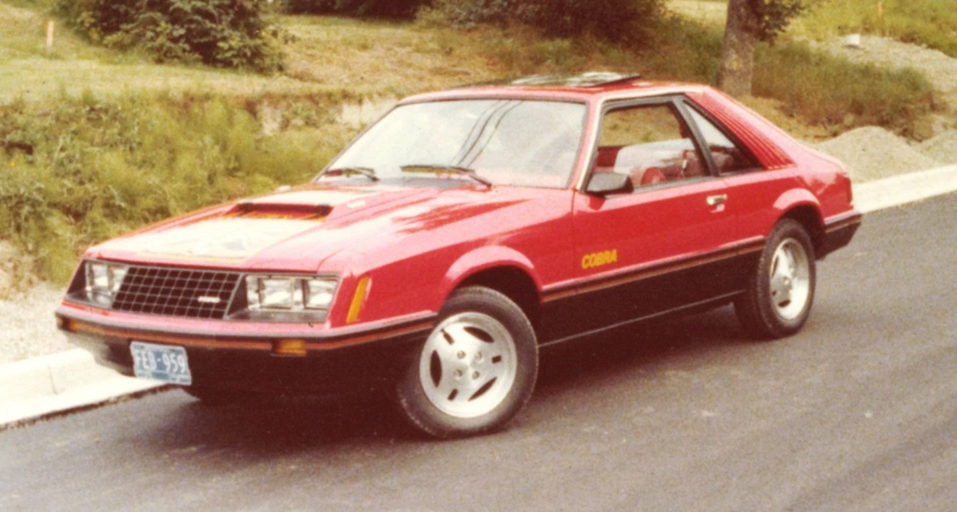 My 1979 Mustang Cobra.jpg
