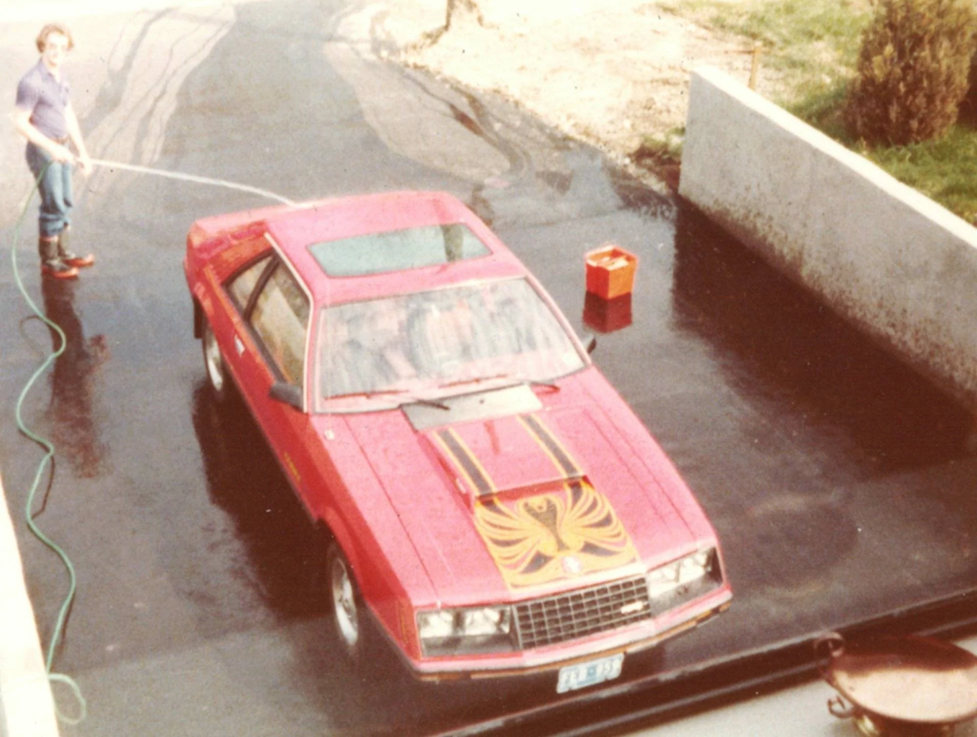 My 1979 Mustang Cobra1.jpg