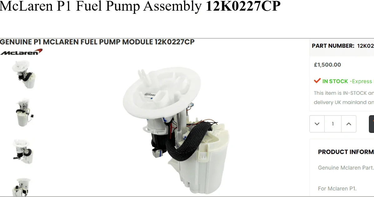 Mclaren P1 Fuel Pump Assembly.webp