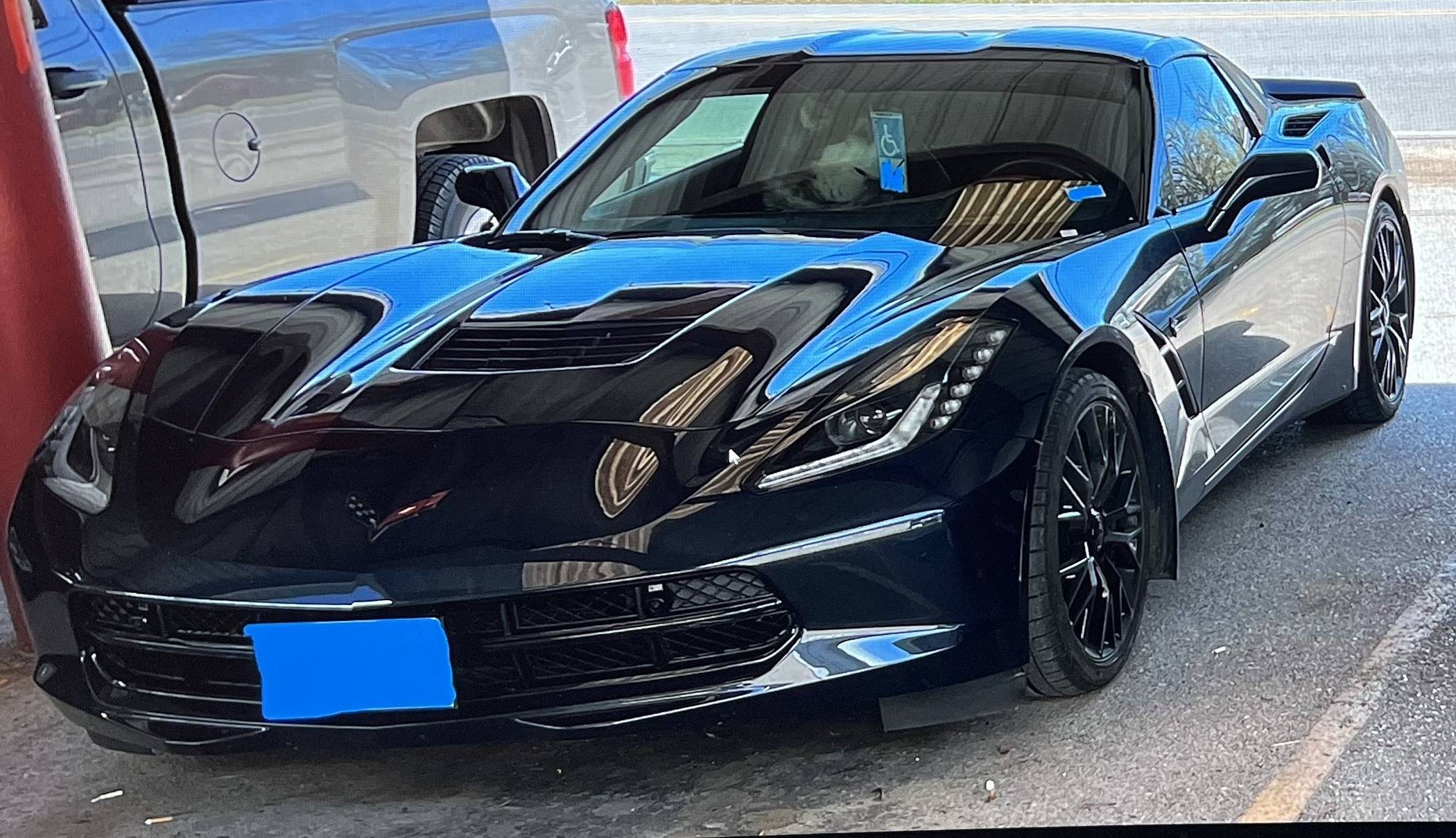 Nakeetacorvette2.JPG
