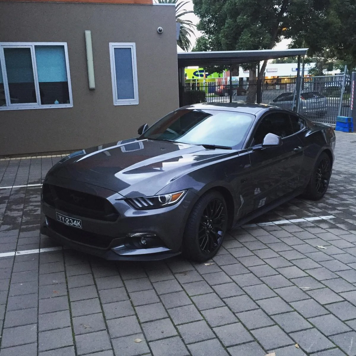 stang11.webp