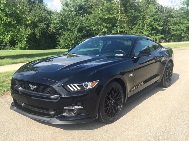 mustang1.JPG