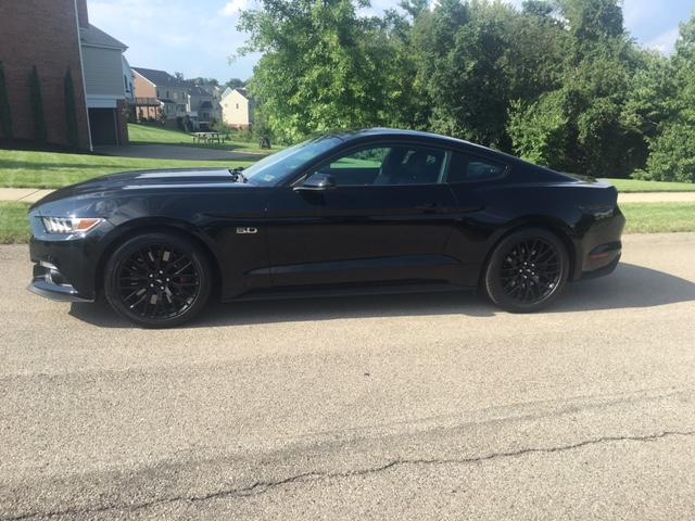 mustang2.JPG