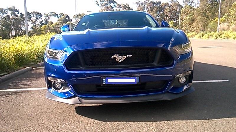 WP_20160820_012 rego blocked.jpg