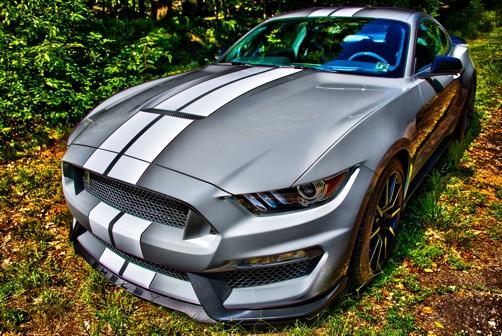 DSC_4643-HDR SMALL.jpg