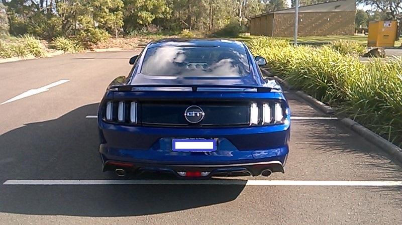 WP_20160820_014 rego blocked.jpg