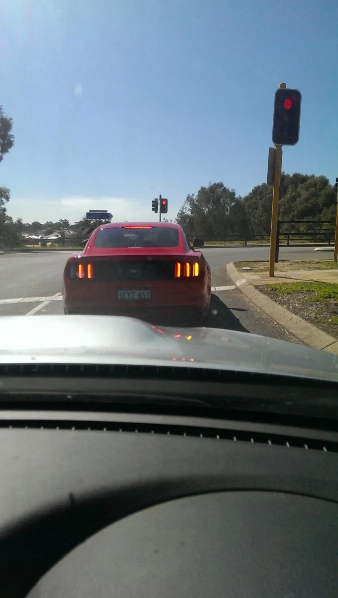 IMAG0501.webp