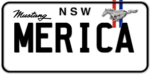 MERICA.webp