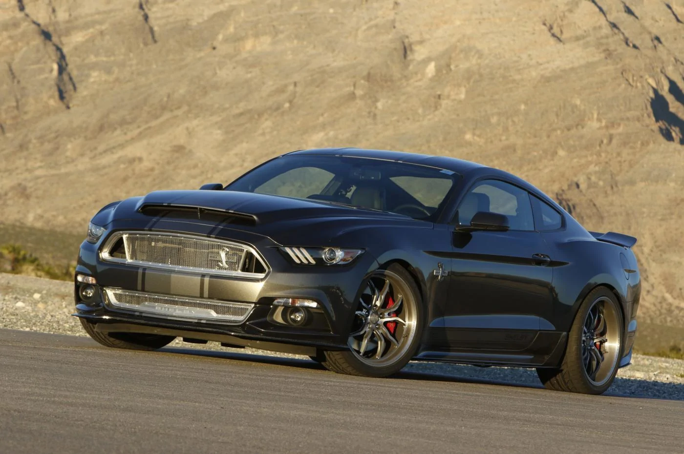 shelby-super-snake-15.webp