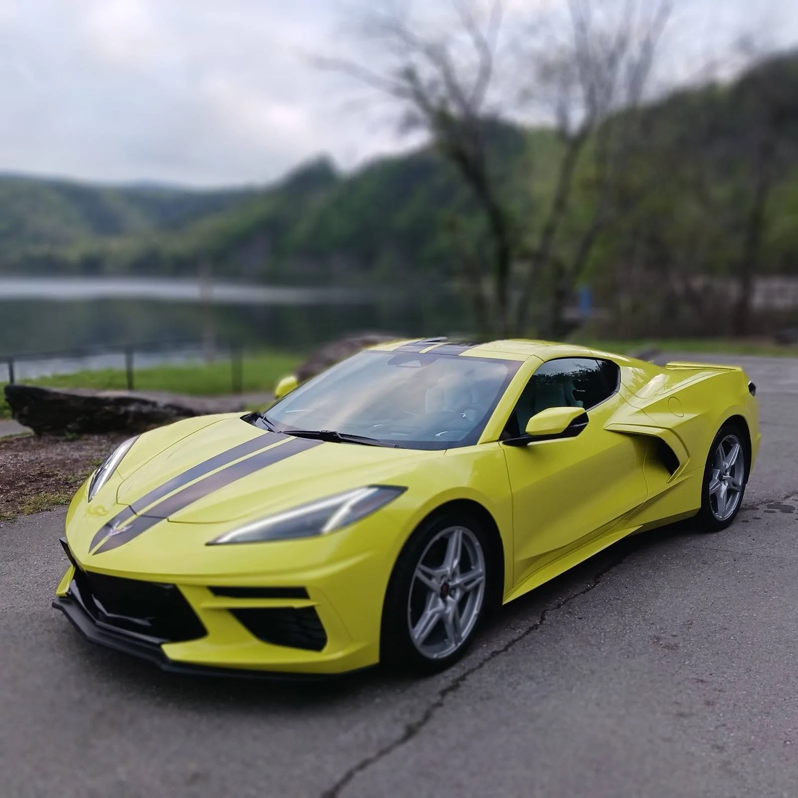 vette9.webp