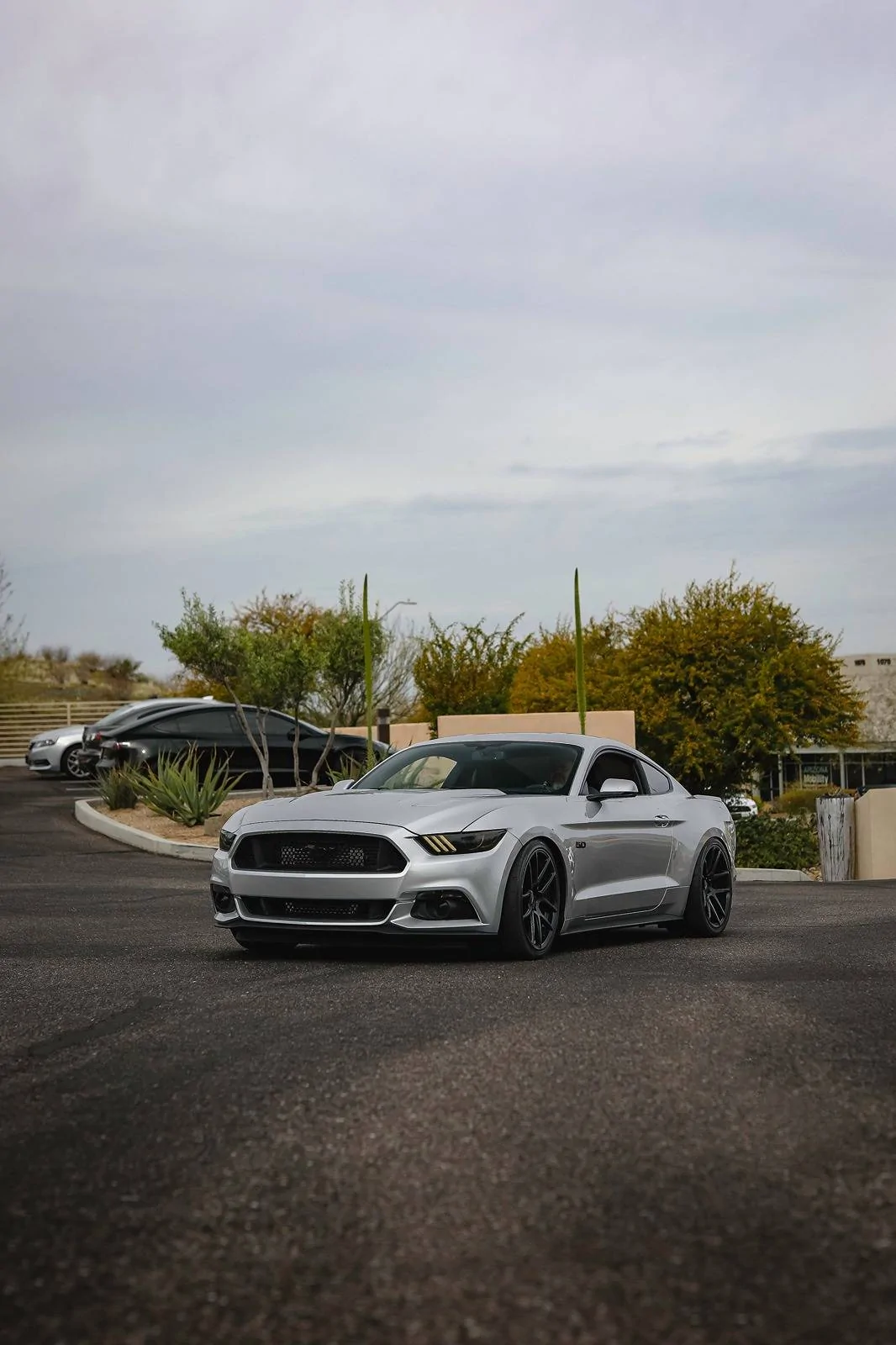 Silver.Mustang.rolling.into.Chateau.Luxe.webp
