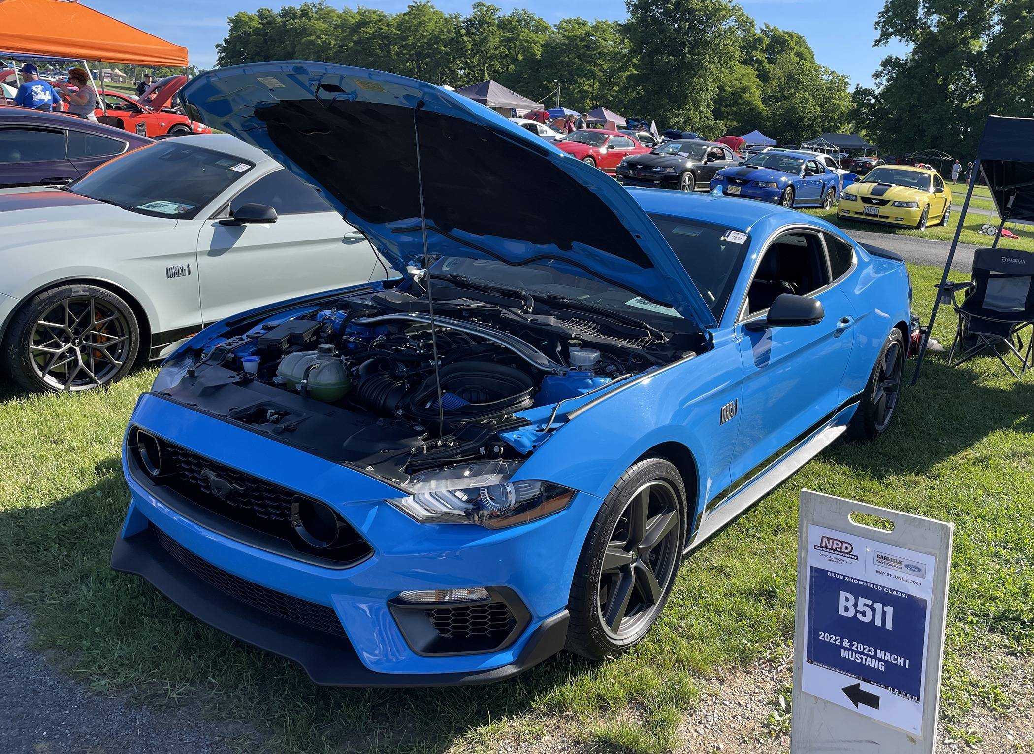 Blue.JPEG