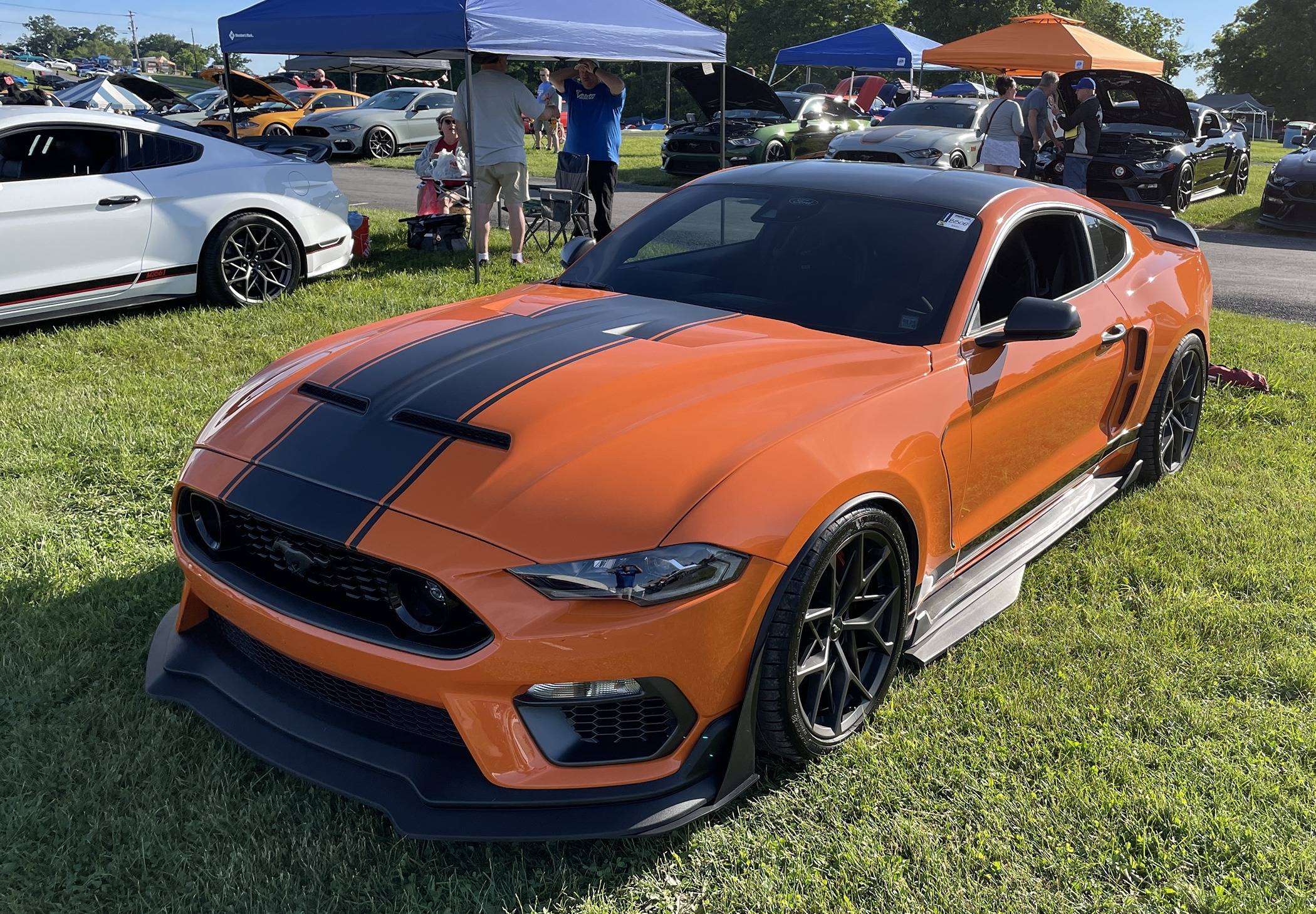 Orange.JPEG