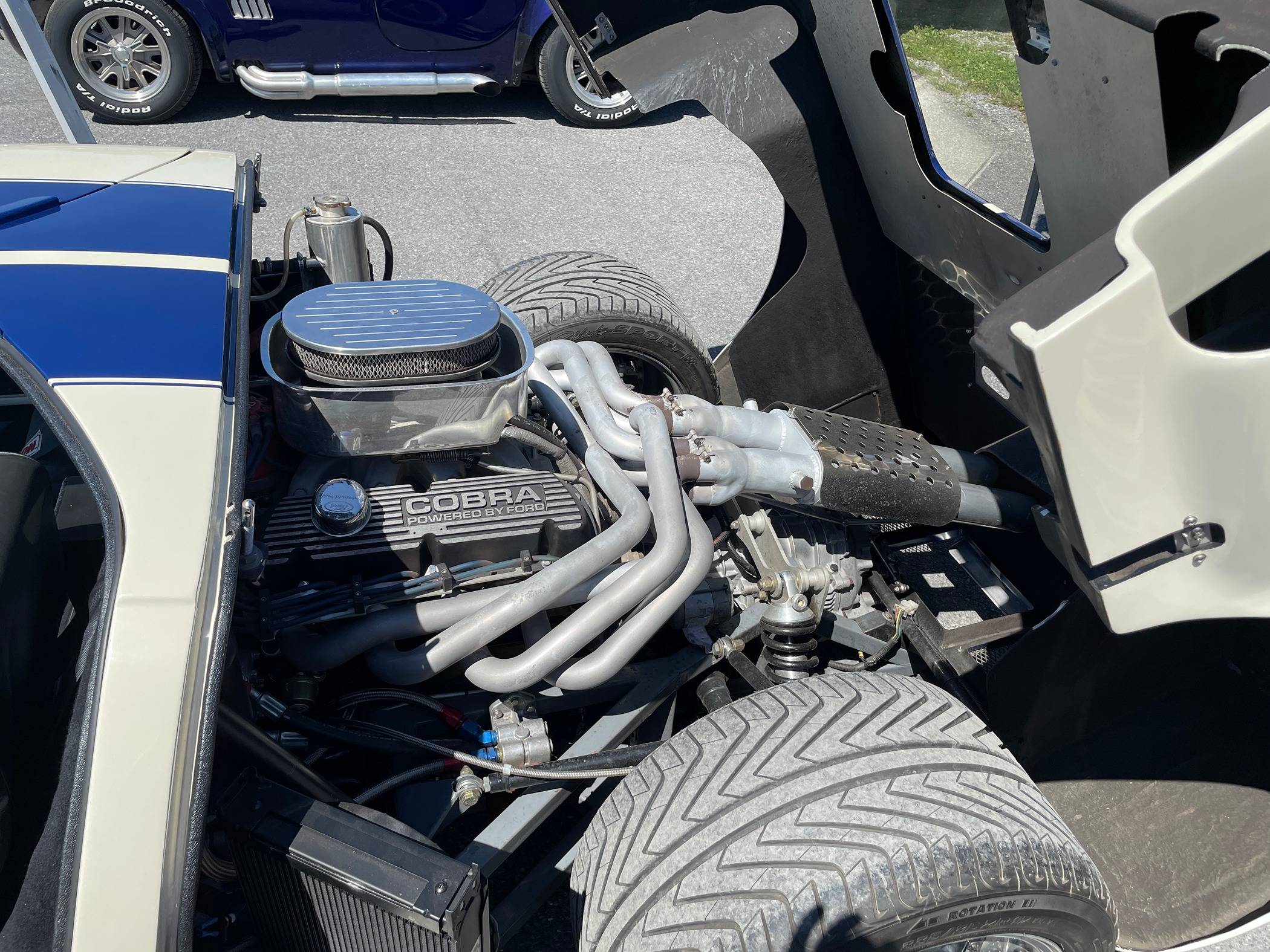 014 GT40Snakes.JPEG