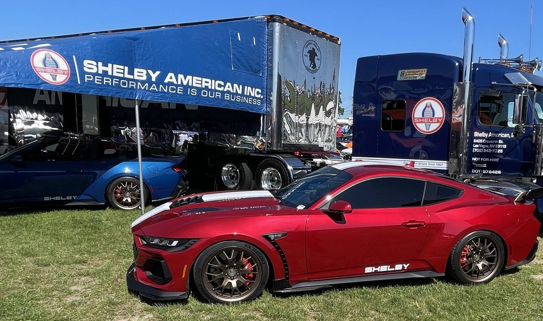 015A Shelby.JPEG