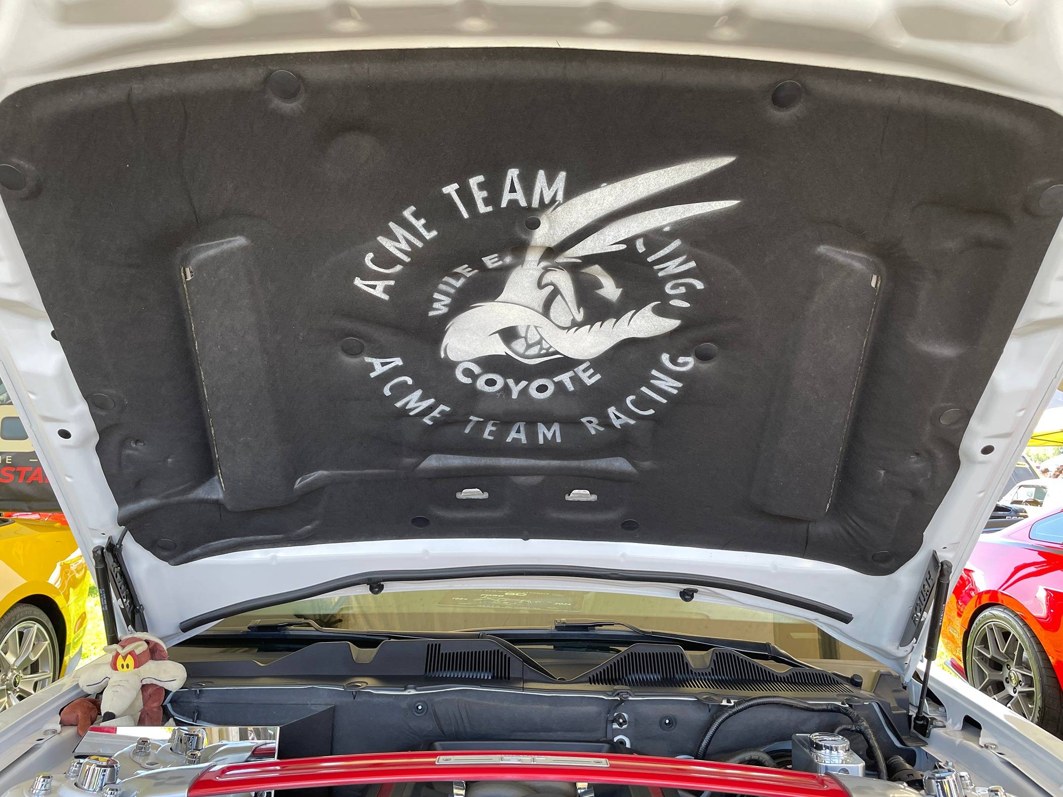 016 Underhood.JPEG