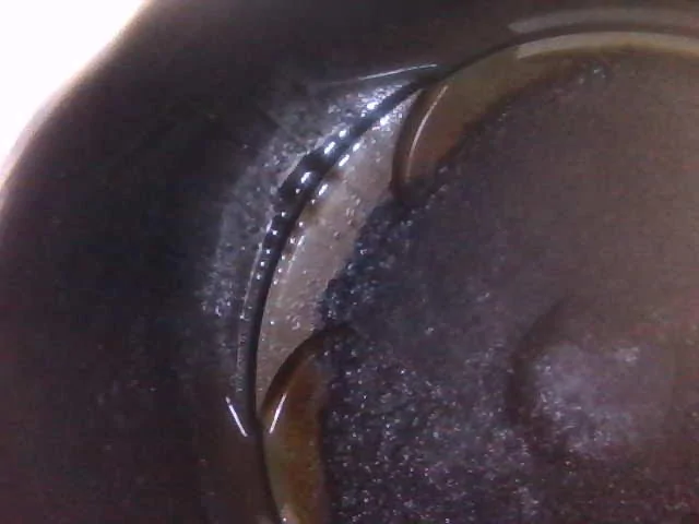 GT350 Borescope 2.jpg