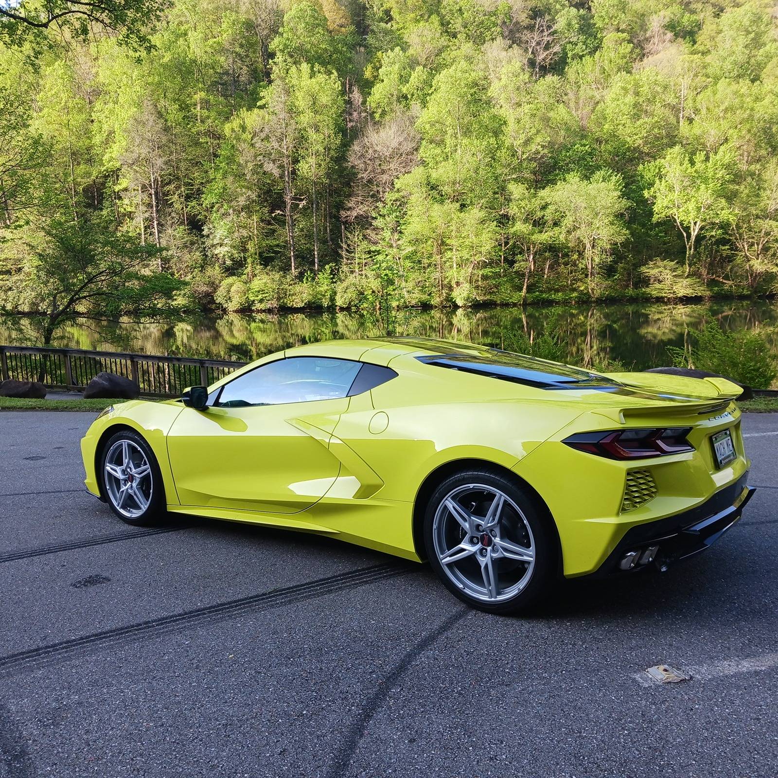 vette16.jpg