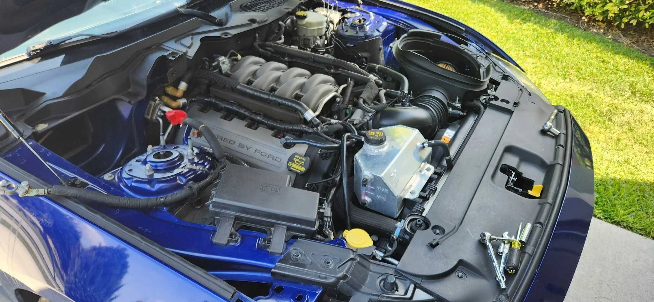 436120521_10234656261854358_2850794491071463225_n.jpg