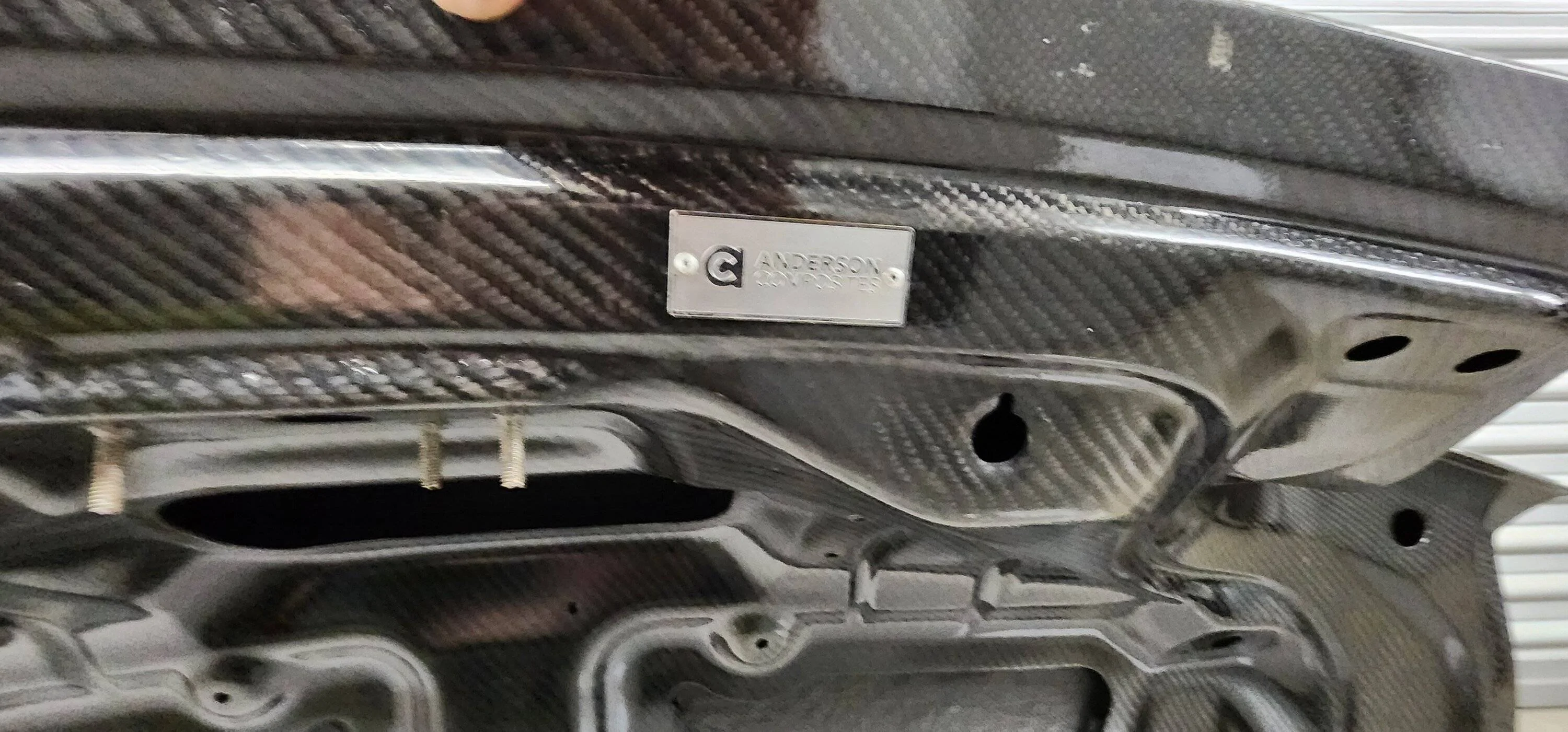 TRUNK 3.webp