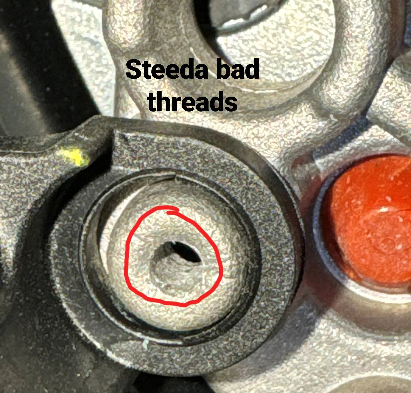 Steeda-threads.webp