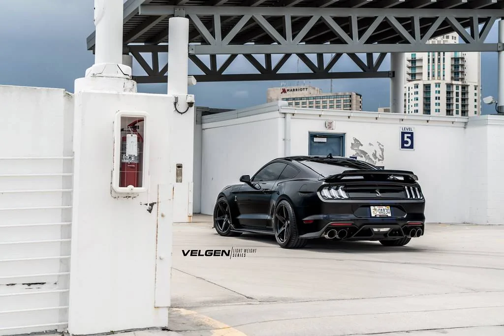 Shelby GT500 - C5 V2_2.webp