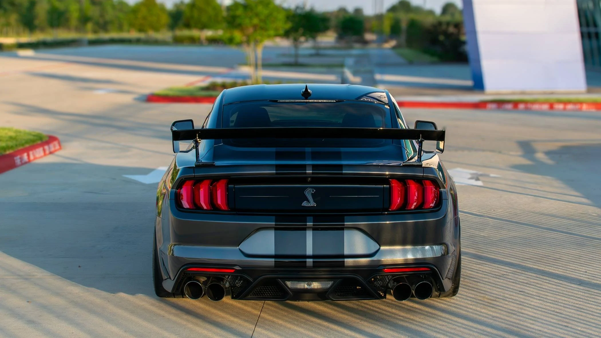 rear 1.jpg