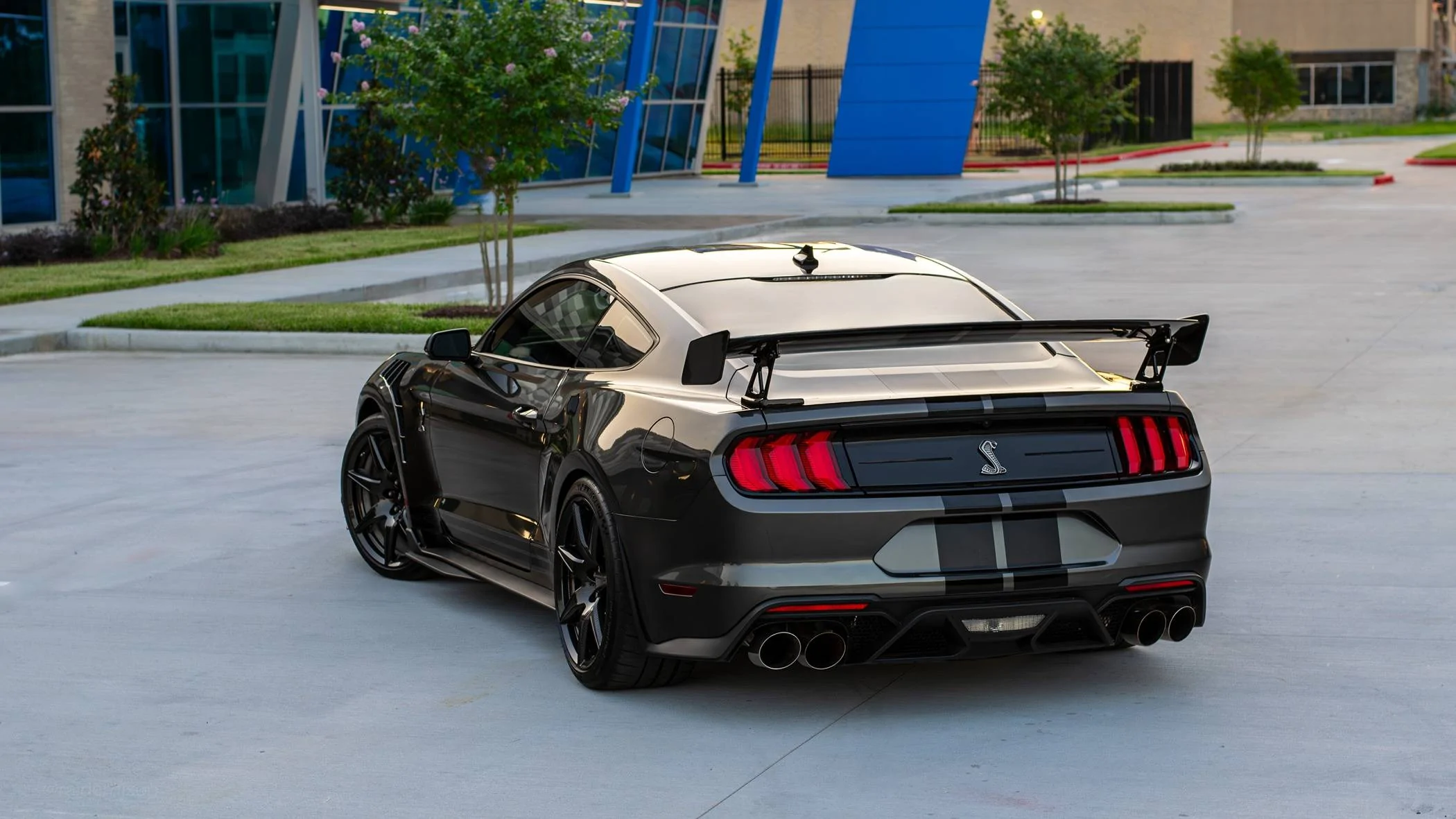 rear 3.jpg