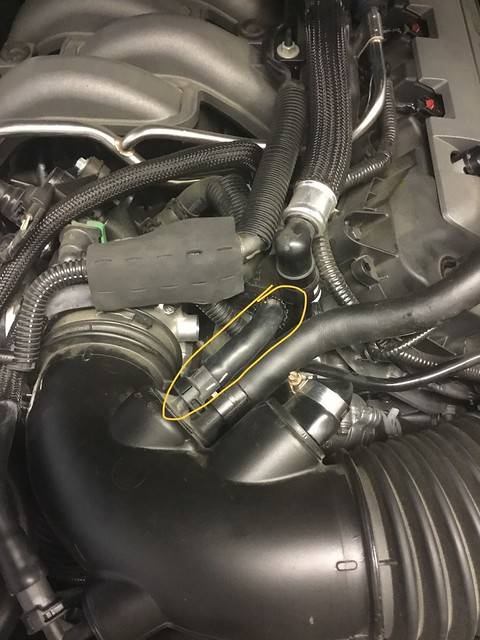 53804411435_b8b9ae81dd_z.jpg