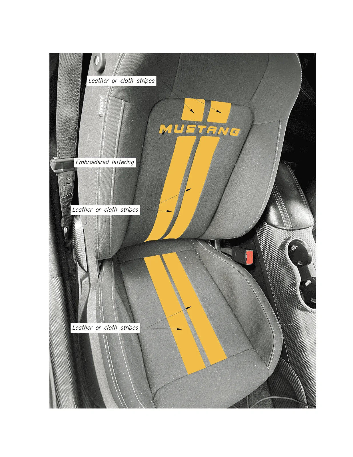 Pages from Seat Striping.webp