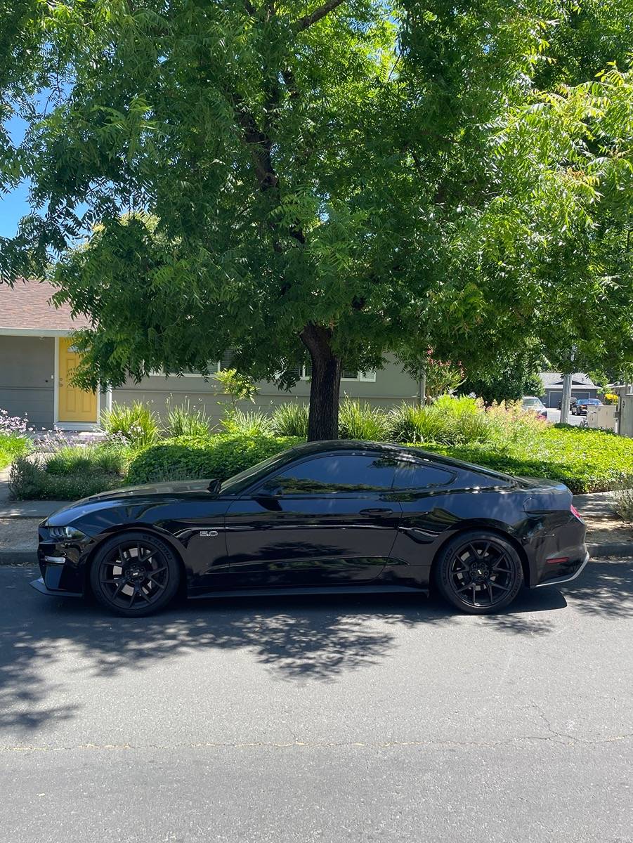 IMG_3439.jpeg