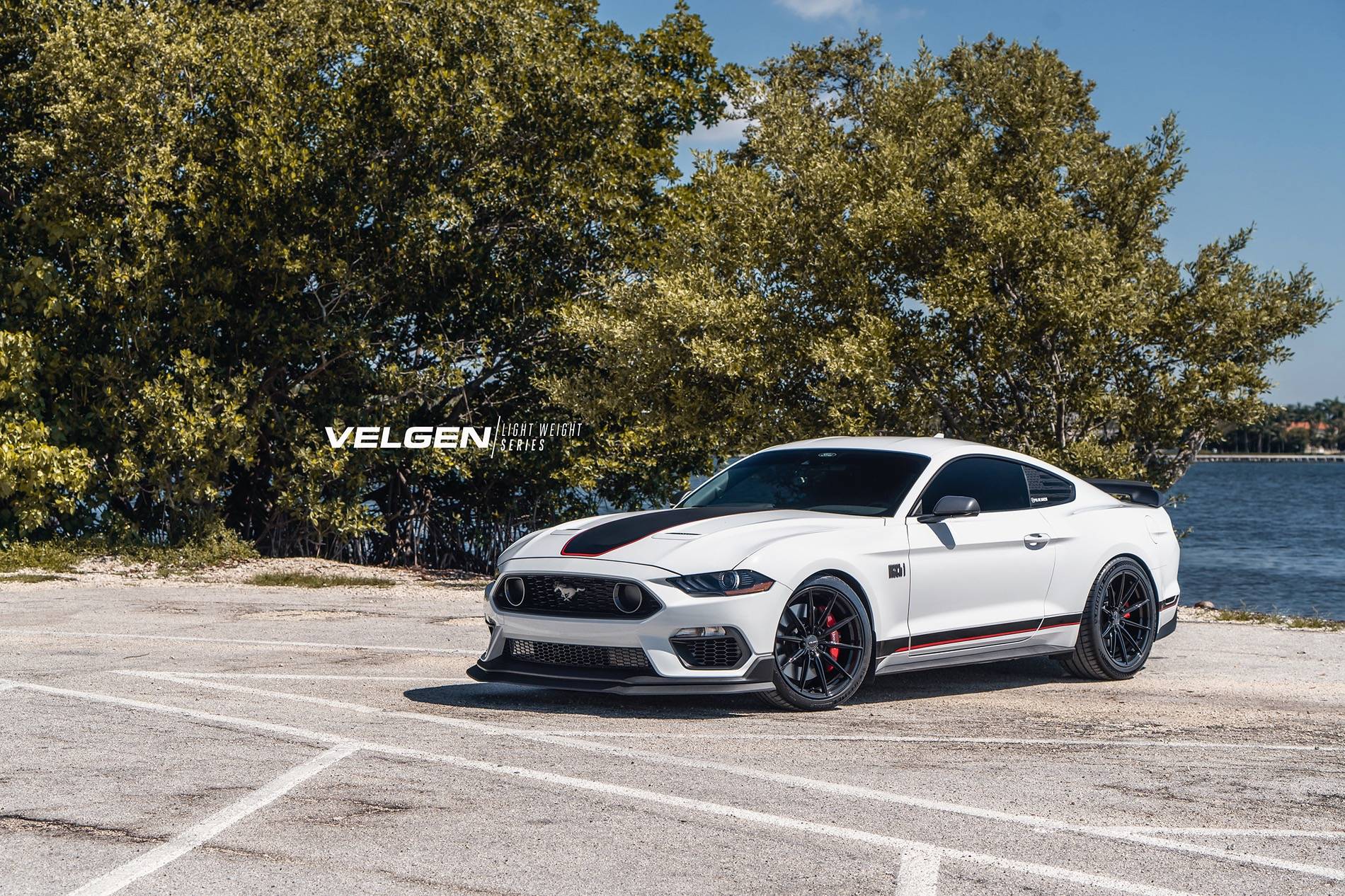 Mach 1 Mustang - VF10_1.jpeg